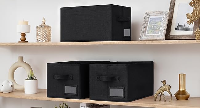 Drei schwarze Aufbewahrungsboxen mit Etikettenhaltern auf einem Holzregal, neben Dekorationsgegenständen wie einer Pflanze, einem Rahmen und Figuren