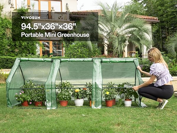 Amazon.com : VIVOSUN Portable Mini Greenhouse 94.5x36x36