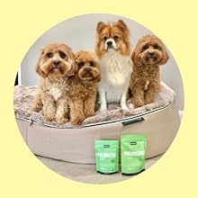 food health for dogs natural probiotics for dogs all natural gas bloating yeast