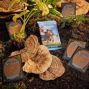 BLB Player Booster Display