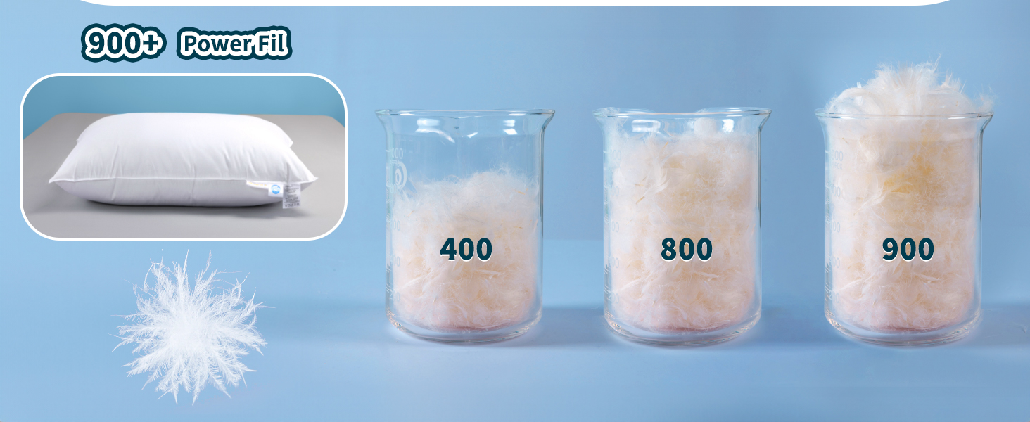 Canadian White Goose Down Pillows Queen Size Set of 2,900