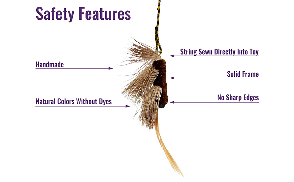 safety features