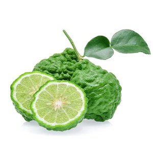 SICILIAN BERGAMOT INGREDIENTS WITH INTENT NATUROPATHICA