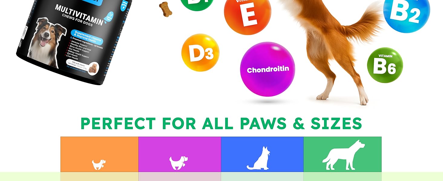 dog vitamins supplements and collagen multivitamin for dogs vitamin b senior gut defense