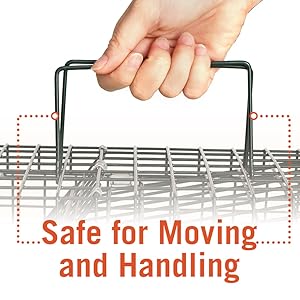 live trap with handle for carrying