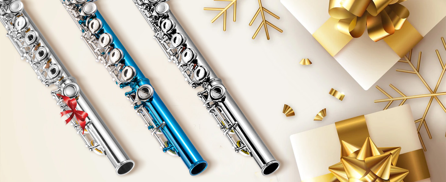 POGOLAB Flutes, Closed Hole C 16 Keys Flute Instrument