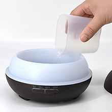 LARGE CAPACITY DIFFUSER