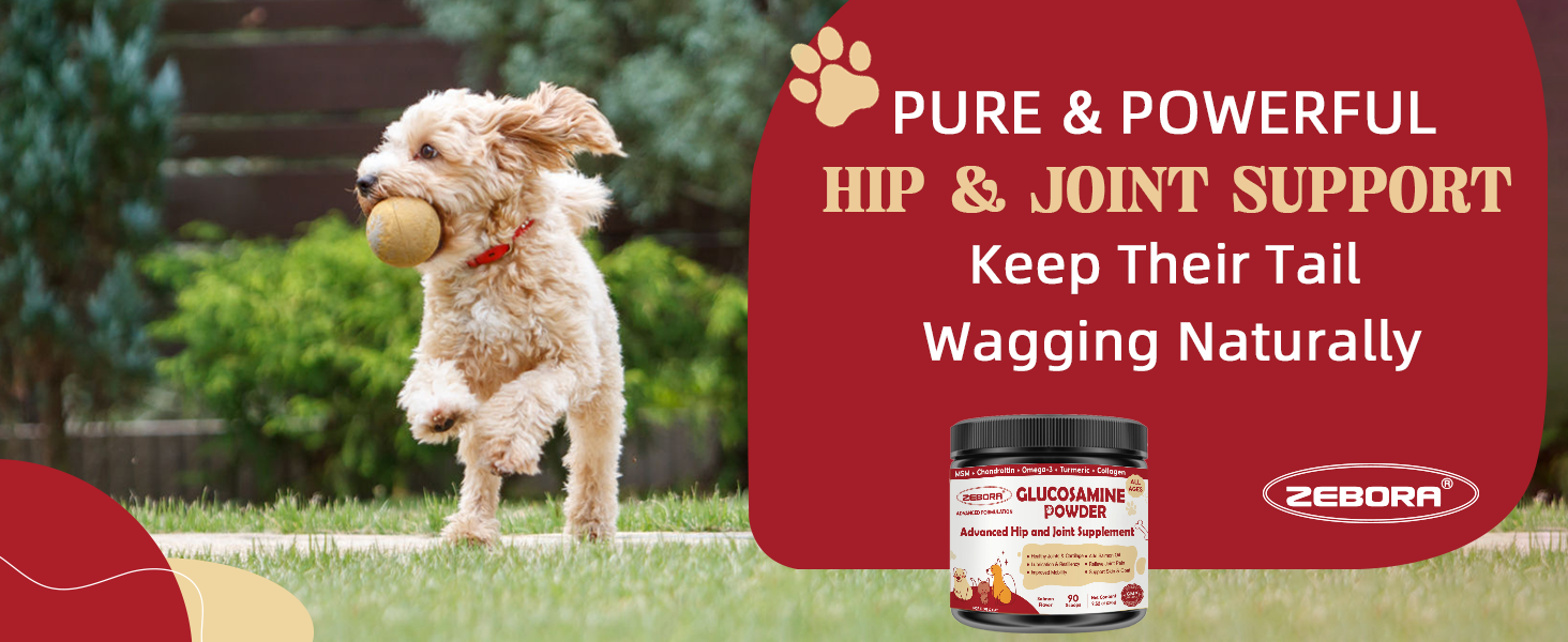 joint supplement for dogs