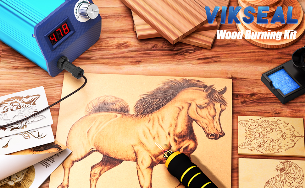 Professional Wood Burning Kit,60W Pro Pyrography Pen Wood Burner with 24 Wire Nib