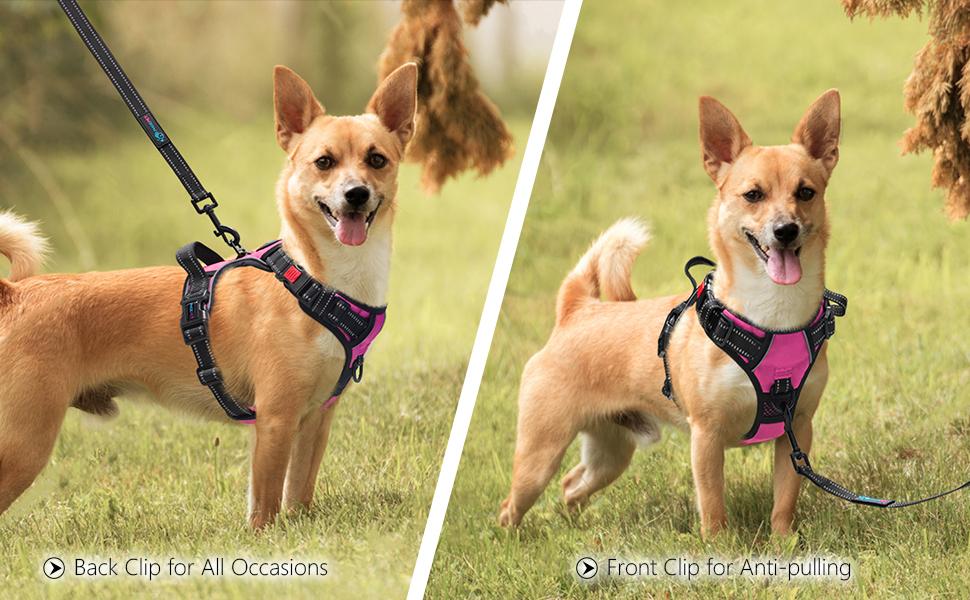 PHOEPET No Pull Dog Harnesses for Small Dogs Reflective Adjustable Front Clip Vest with Handle 2