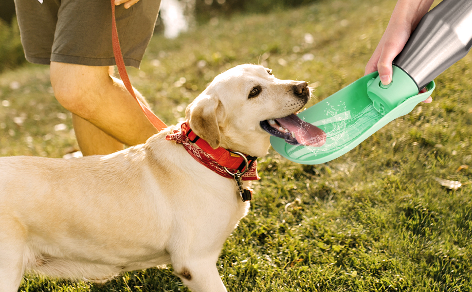 Heeyoo Portable Dog Water Bottle Stainless Steel Dog