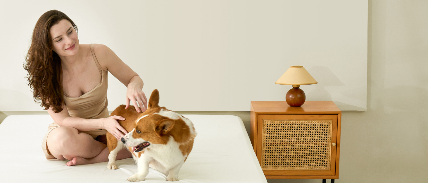 queen bed sheet set king fitted sheet queen size bed sheets set