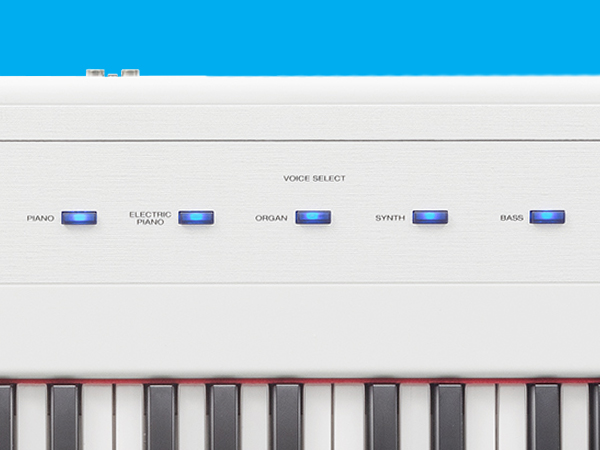 Amazon.com: Alesis Recital – 88 Key Digital Piano Keyboard