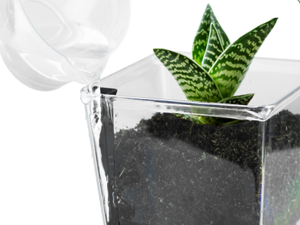 Plastic Planter for Garden House Plants