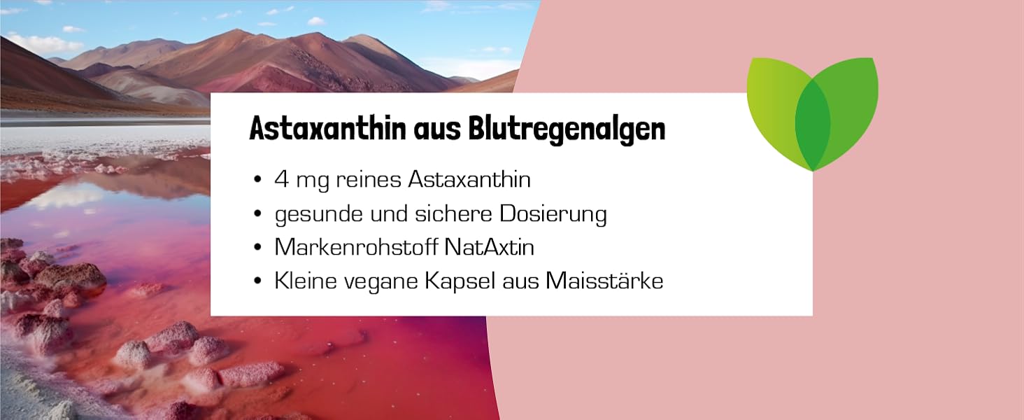 Astaxanthin aus Blutregenalgen