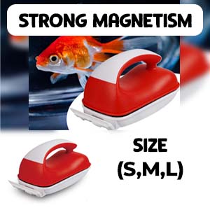 glass maintenance care cleaning tool remover kit tools brush for solution