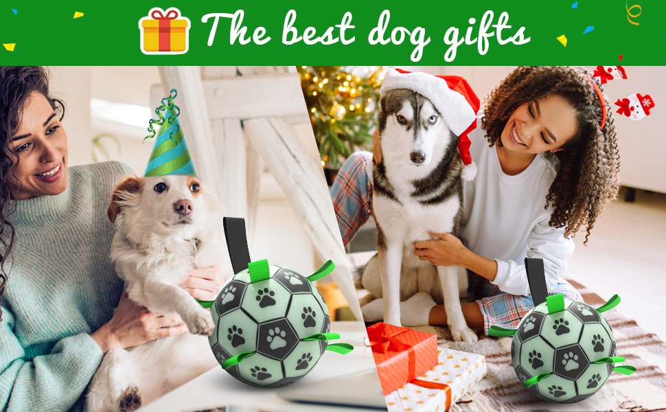 Interactive Dog Toys