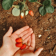 Small manufacture image 2