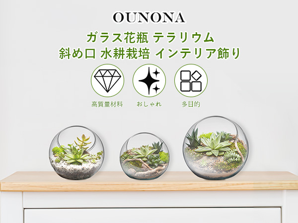 多肉植物。 專用図 楽天市場】エレン錦 カット苗 グラプトベリア Mサイズ 5.5cm