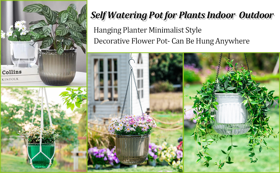 hanging planter