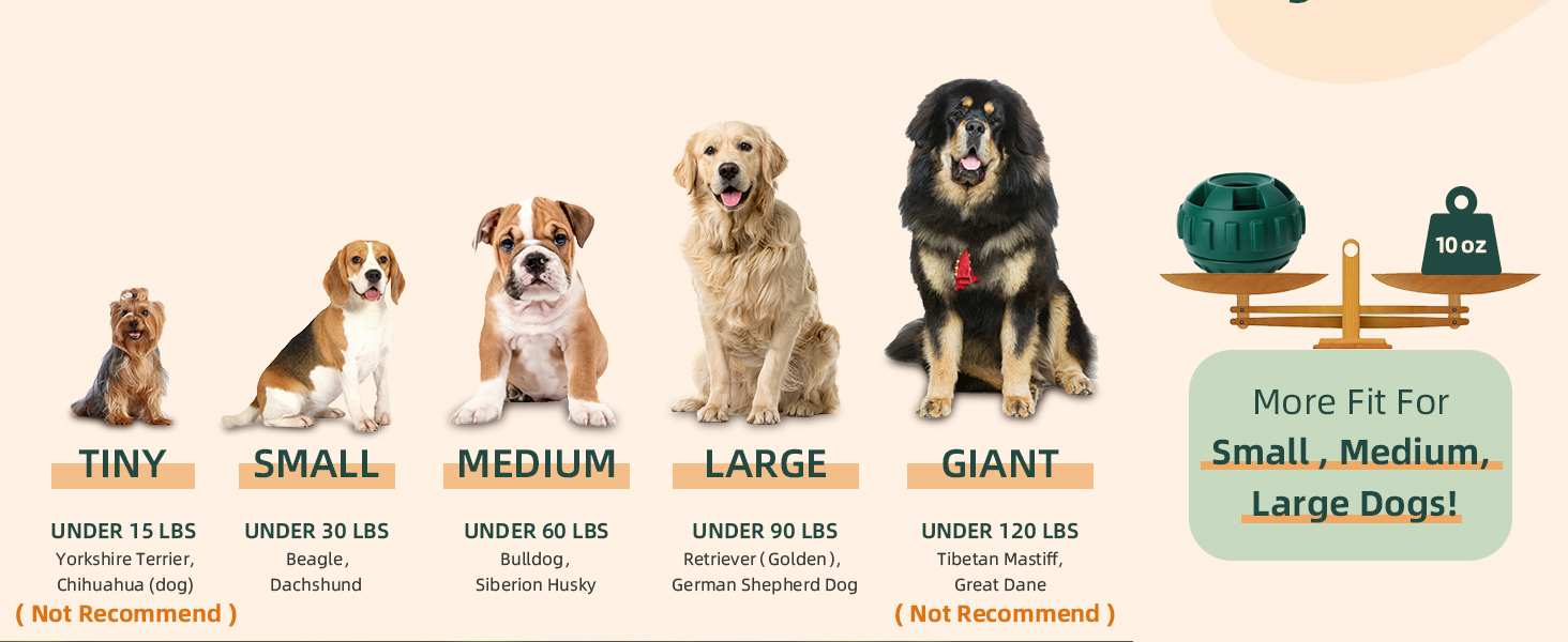 chew toys for dogs