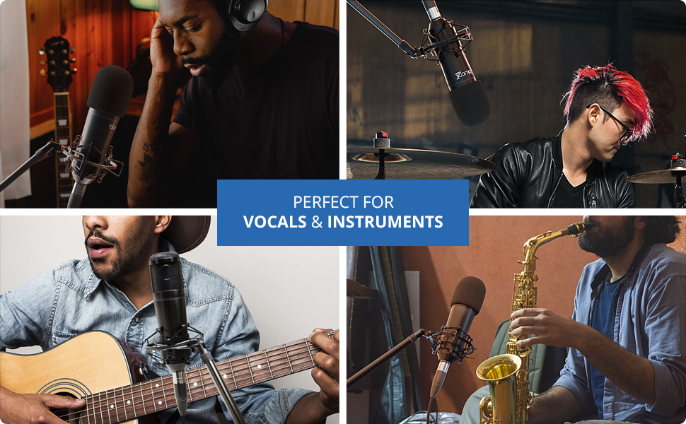 Blucoil Cardioid Condenser Studio XLR Microphone for Acoustic Guitars, Woodwind, Vocals