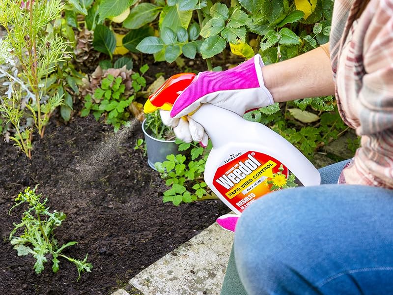 Weedol Rapid Weed Control RTU in use