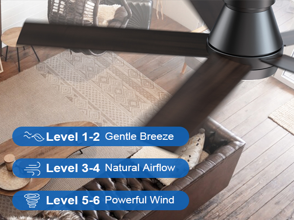 TCL 52&#34; Ceiling Fan with Lights, Black Flush Mount Ceiling Fans with Remote Control