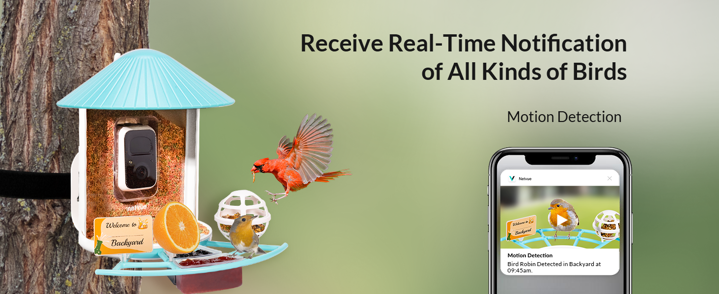 Birdfy Pro Smart Bird Feeder with Camera, Auto Capture & Record Bird