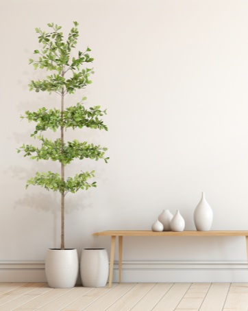 faux black olive tree
