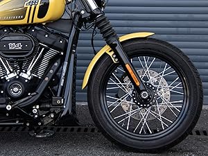 Amazon.com: Hoprousa 19x2.5 Front Wheel Compatible with '18