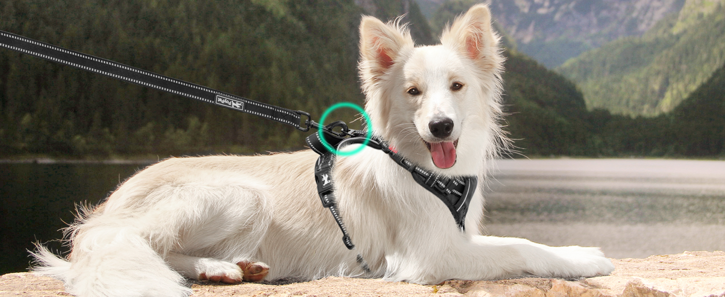 No pull dog harness