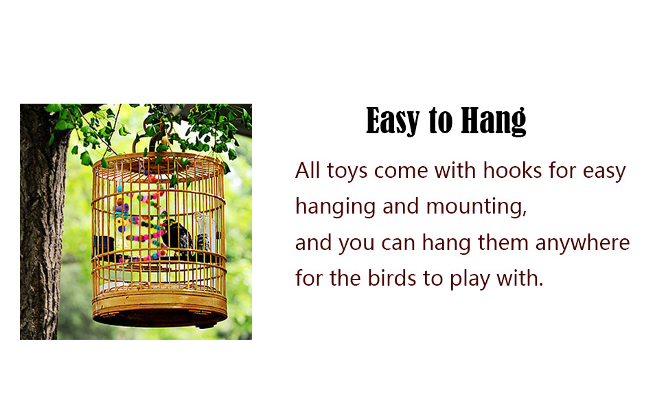 parrot toys
