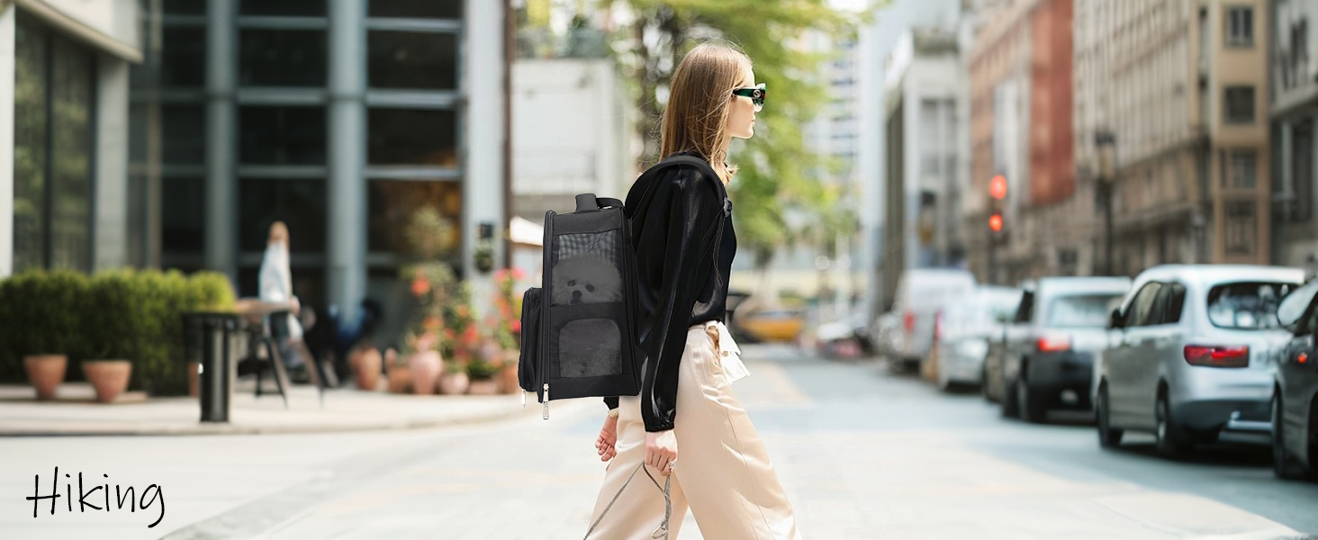 dog backpack for small dog