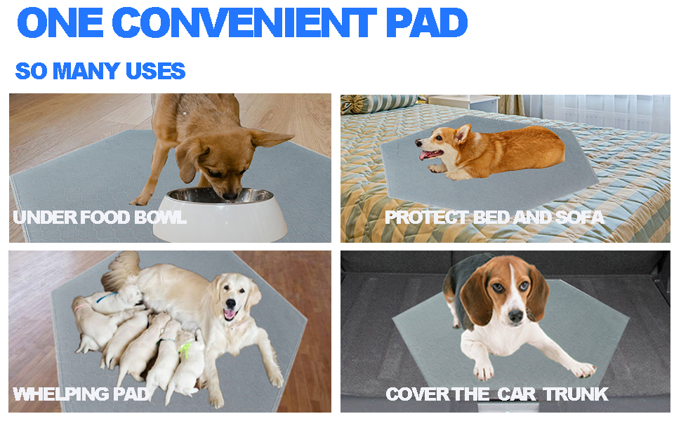 Large manufacture image 6