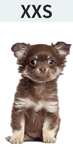 Frienperro Small Dog Costume Dog Hoodie XXS