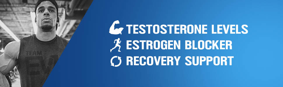 testosterone levels estrogen blocker recovery support