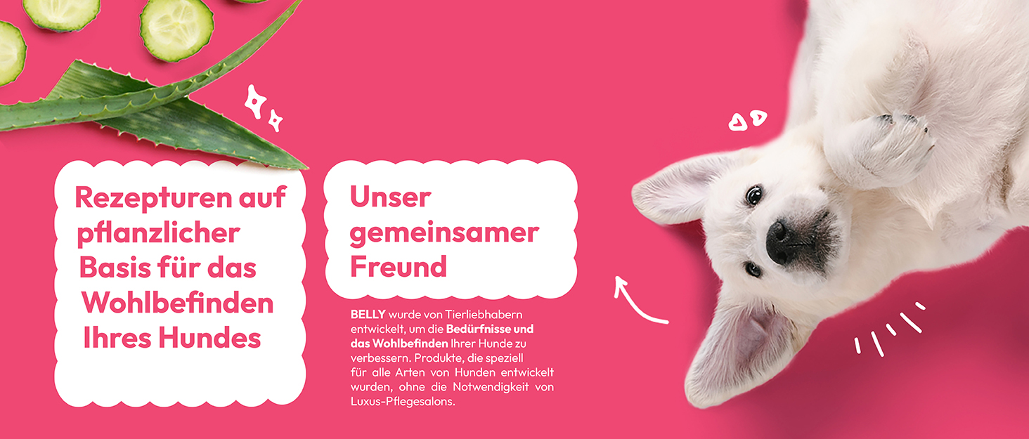 Der Hund ist ein Freund