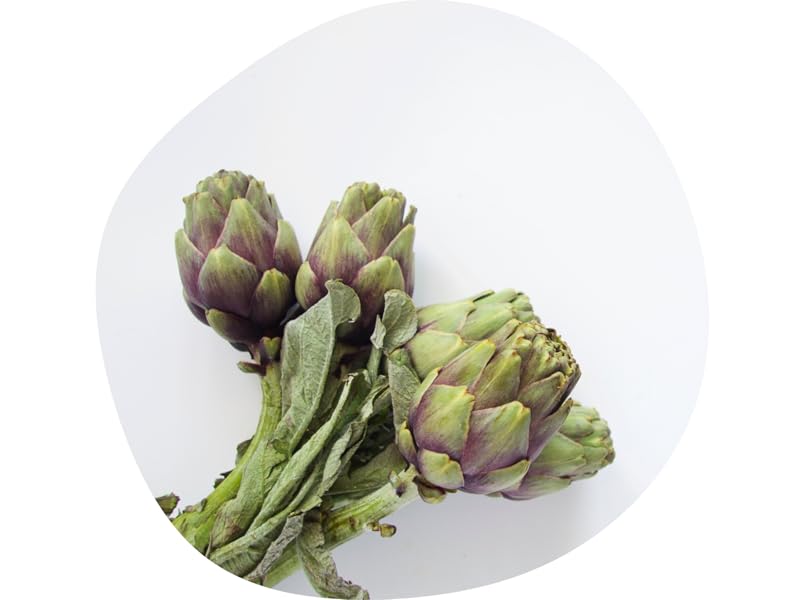 Bionutra Artichoken pulver 1