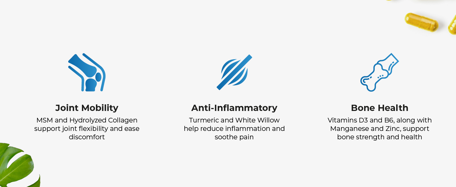 FORMULA FOR Joint pain