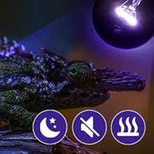 reptile heat lamp bulb
