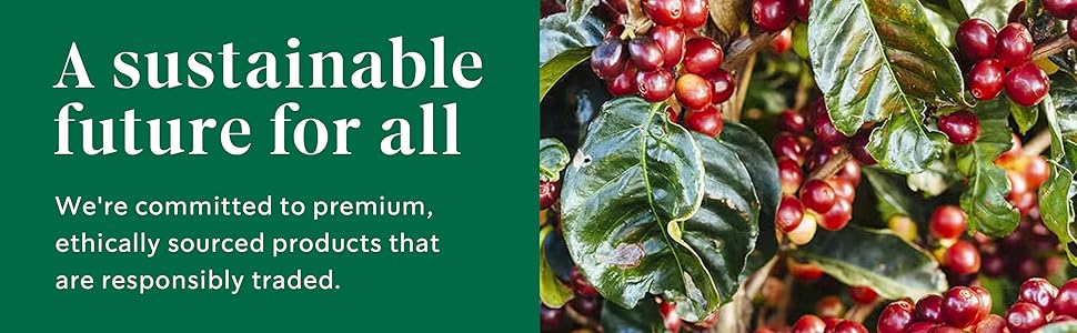 Coffee plant with ripening cherries. Starbucks is committed to a sustainable future for all.