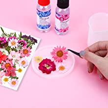 Choose the dry flowers you like