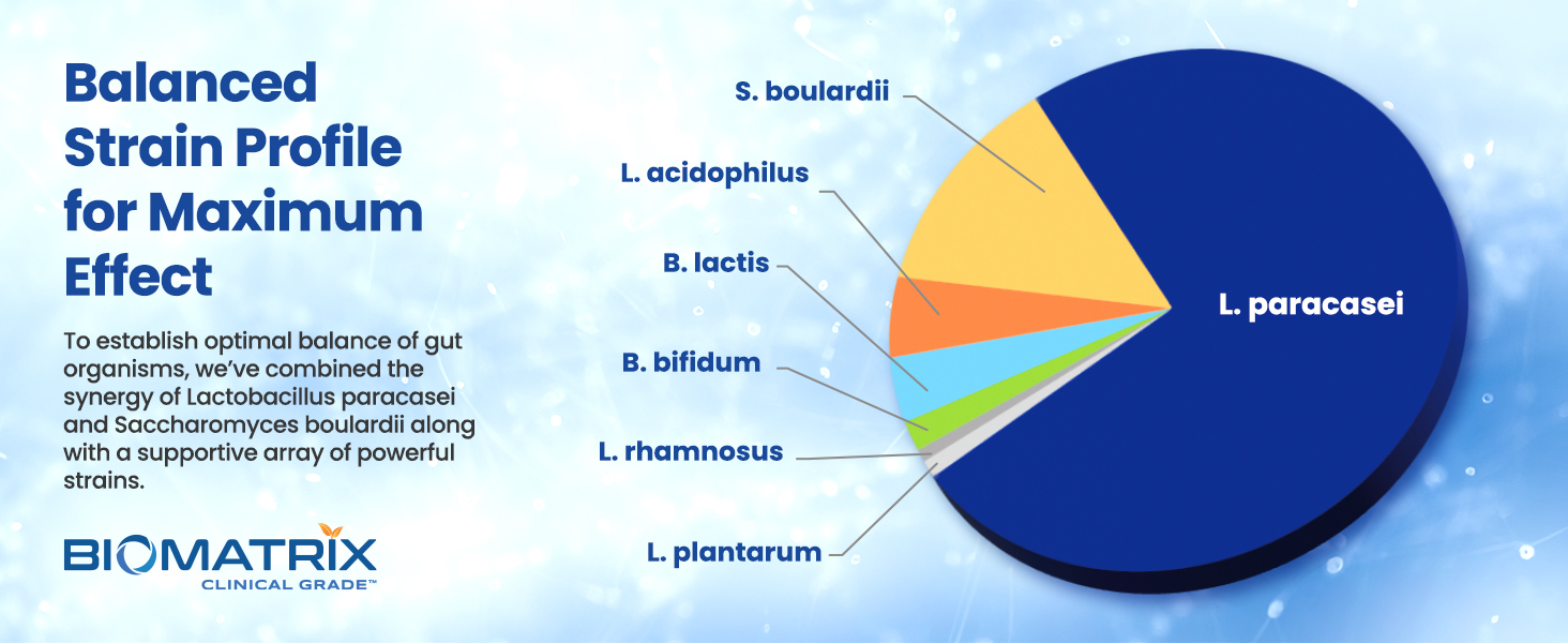 probiotics bifidum boulardii yeast