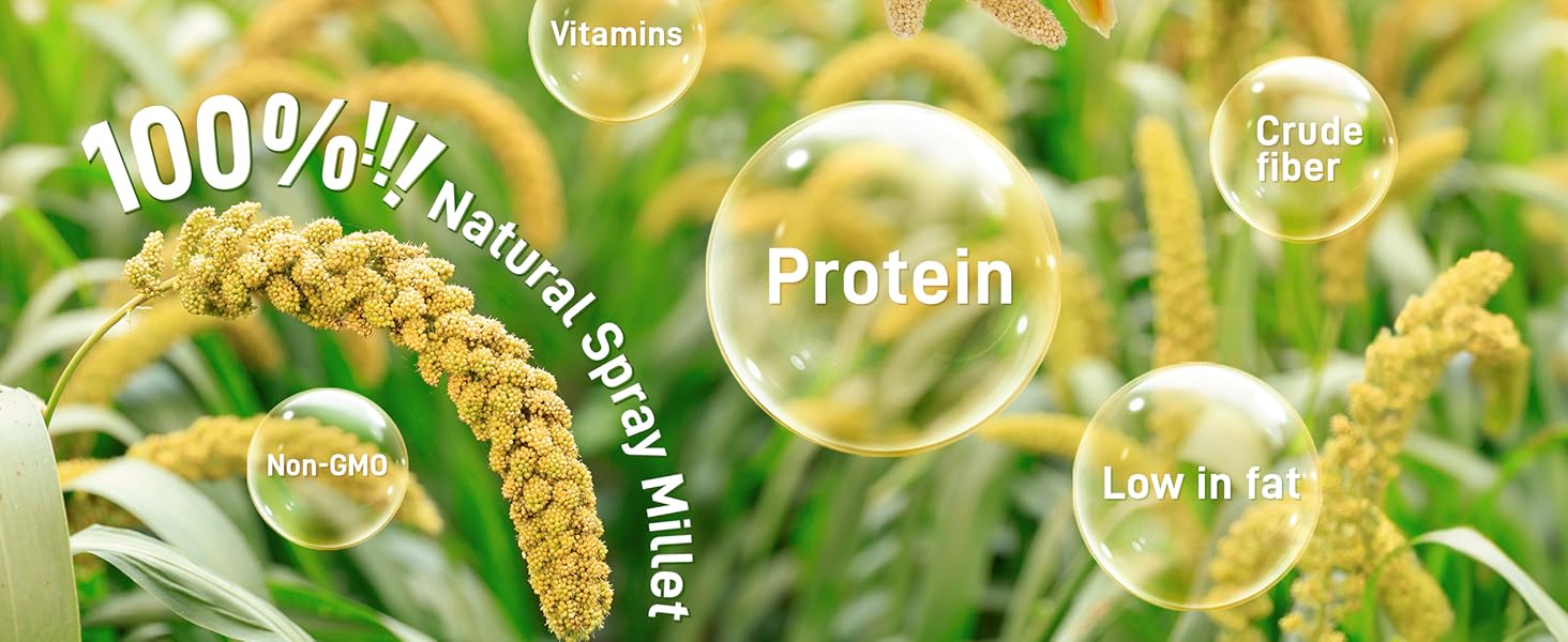 spray millet