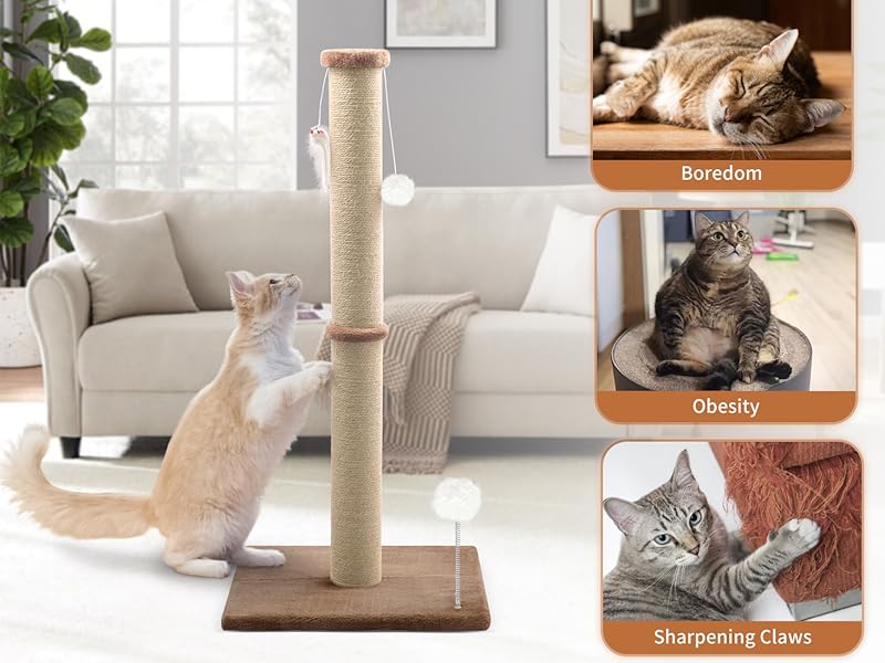 why use Peluomoz cat scracher