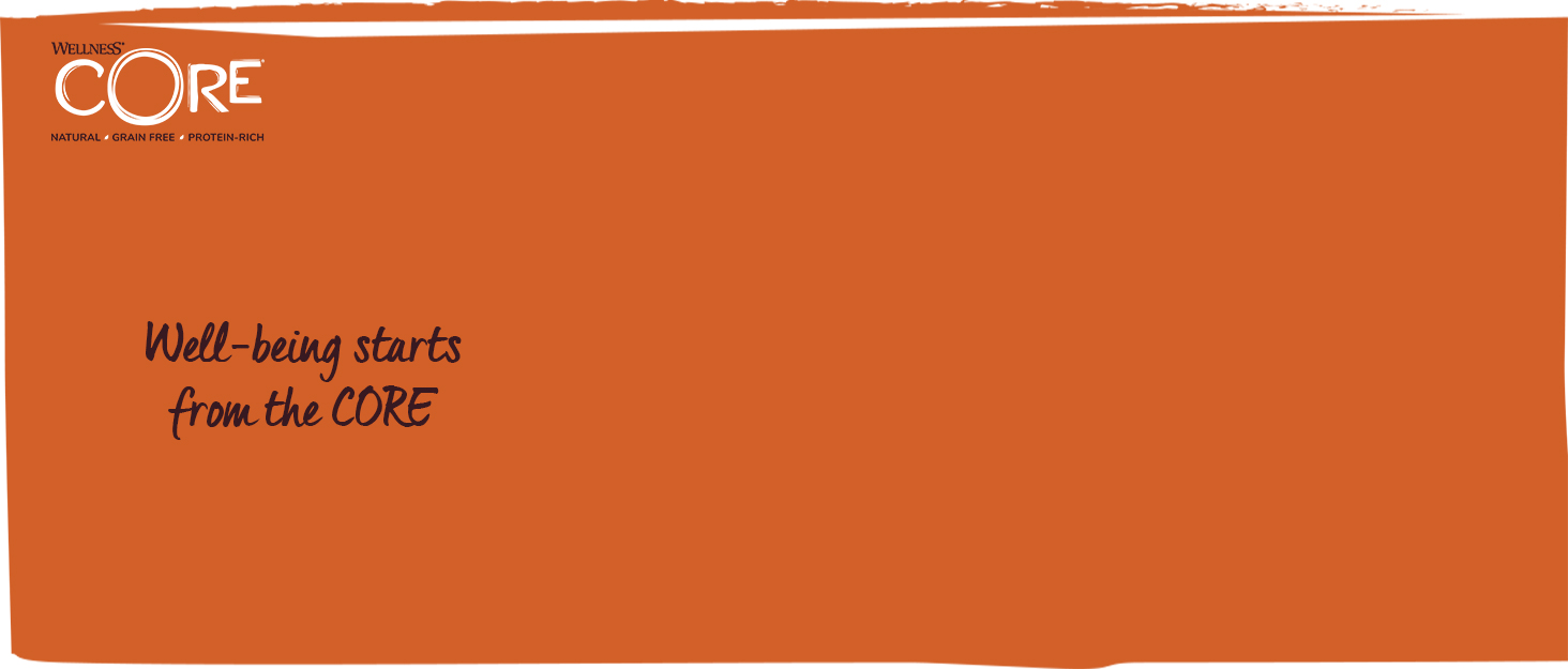 Wellness CORE natural, grain-free and protein-rich