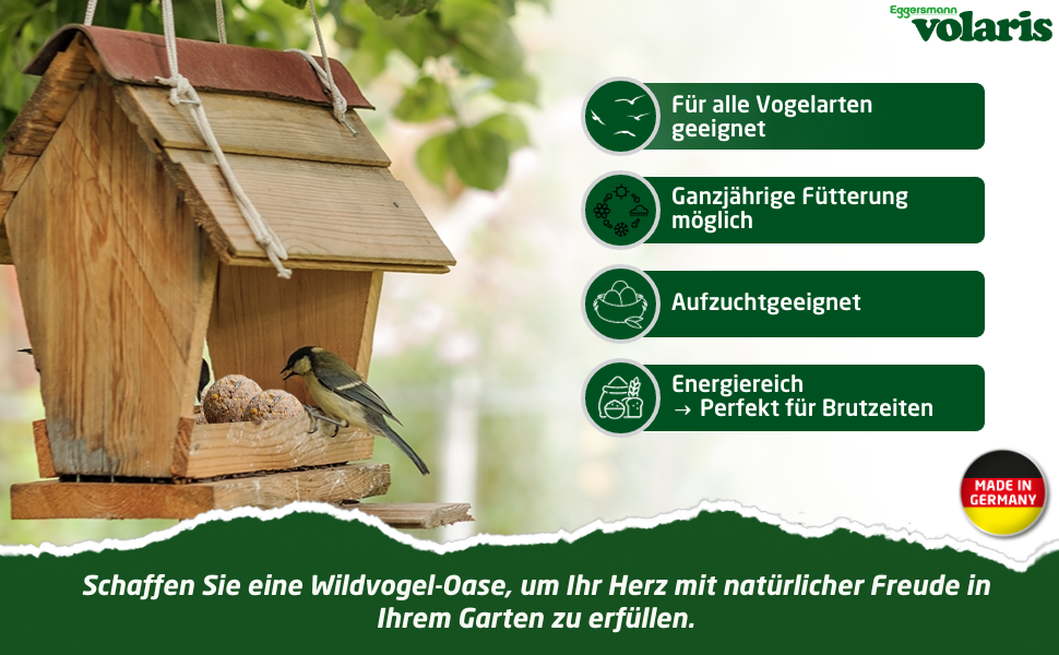Vogelhäuschen aus Holz mit Vogel auf Futterplattform. Vier grüne kreisförmige Symbole mit Funktionen auf Deutsch, Logo „Made in Germany“.
