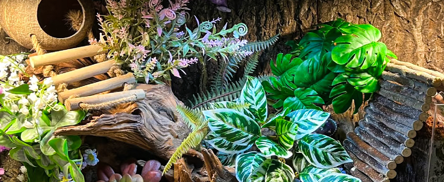 Hermit Crab Accessories