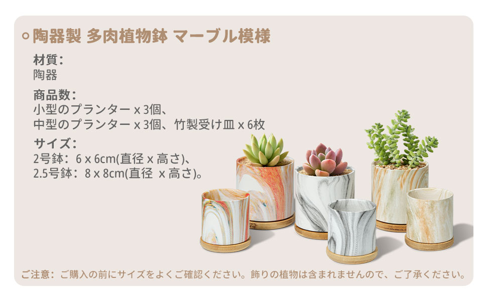Amazon.co.jp: T4U 植木鉢 陶器製 2号鉢 多肉植物鉢 竹製鉢皿